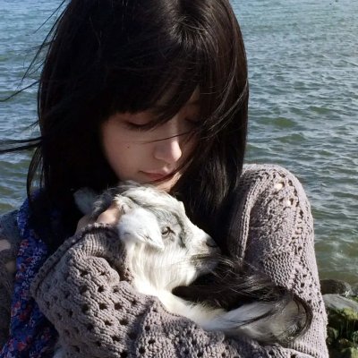大师的菜海报
