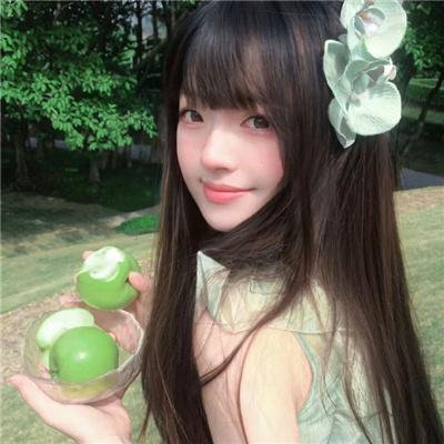 洪吉童的后裔海报